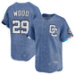 Washington Nationals #29 James Wood Blue 2025 City Connect Limited Stitched Baseball Jersey